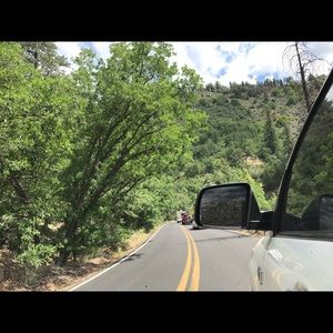 Meet your Posher, Jolynn